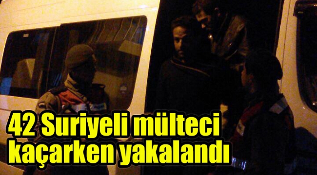 42 Suriyeli mülteci kaçarken yakalandı
