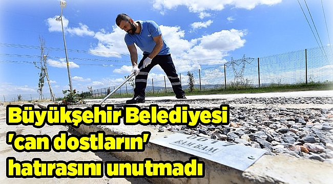 Büyükşehir Belediyesi 'can dostların' hatırasını unutmadı