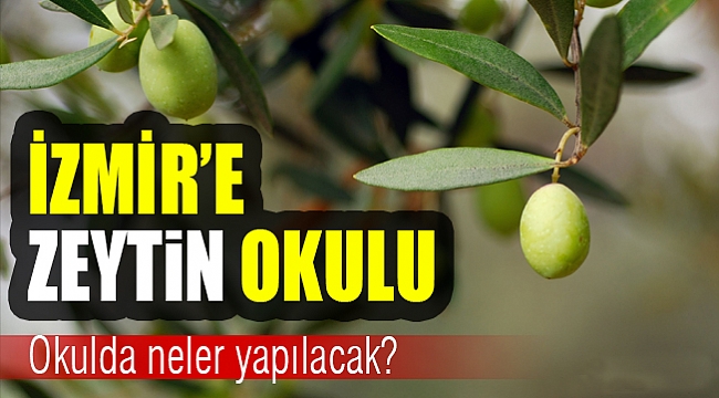İzmir'e zeytin okulu