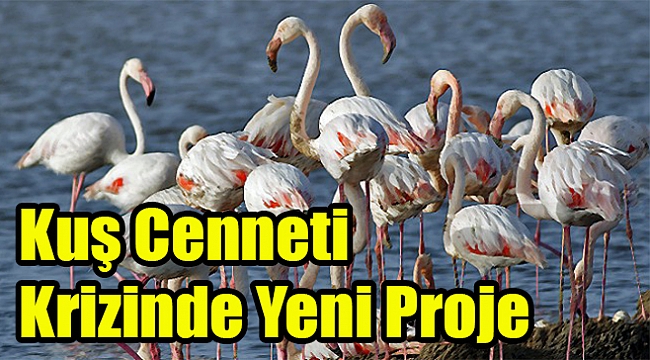 İzmir Kuş Cenneti'ndeki krizde yeni perde: Bakanlık 'rant' iddialarına ne yanıt verdi?