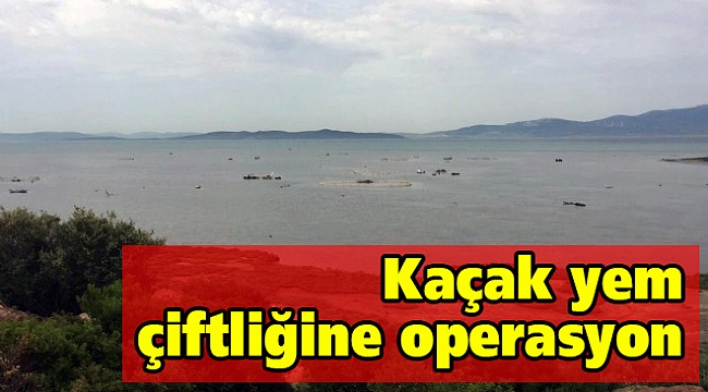 Kaçak yem çiftliğine karadan ve denizden baskın!