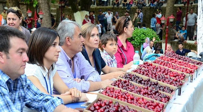 Kemalpaşa Kiraz Festivali'nde geri sayım