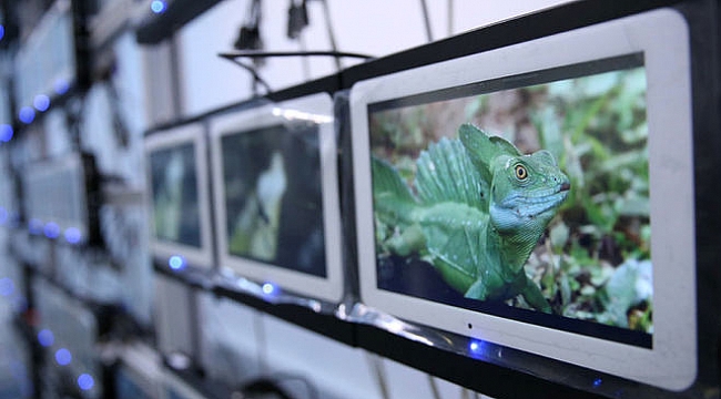 Uçakta elektronik cihaz yasağına çözüm