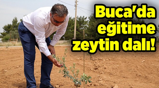 Buca'da eğitime zeytin dalı!