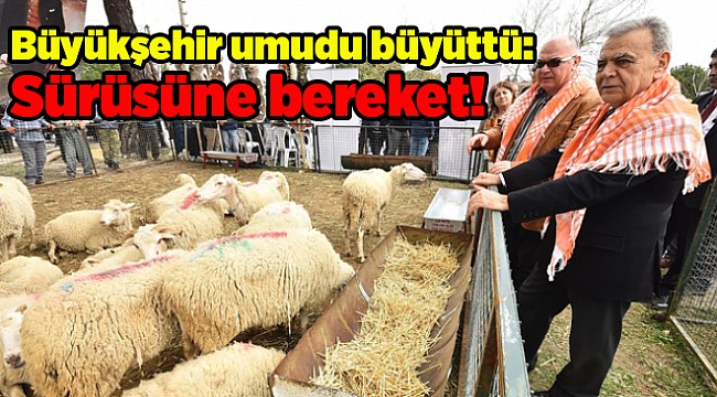 Büyükşehir umudu büyüttü: Sürüsüne bereket!