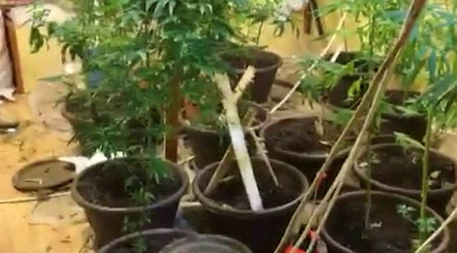 Evin odasını ersar bahçesine çevirmişler