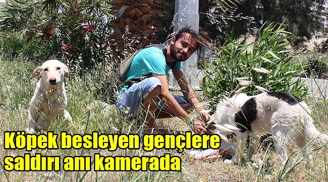 Köpek besleyen gençlere saldırı anı kamerada