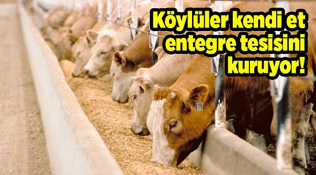 Köylüler kendi et entegre tesisini kuruyor!