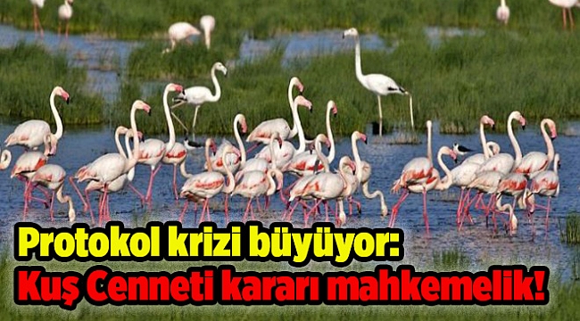 Protokol krizi büyüyor: Kuş Cenneti kararı mahkemelik!