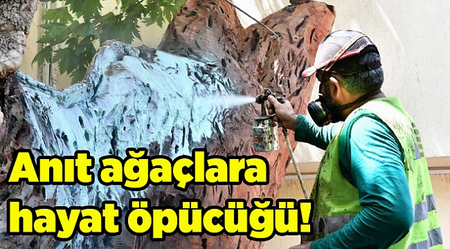 Yüz yıllık yalnızlık İzmir'de son buldu: Anıt ağaçlara hayat öpücüğü!