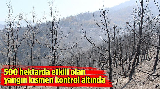 500 hektarda etkili olan yangın kısmen kontrol altında