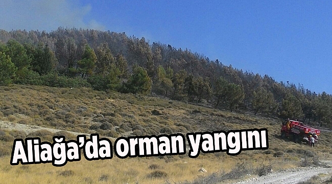 Aliağa’da orman yangını