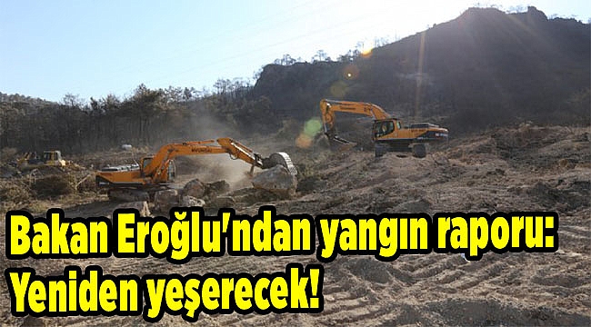 Bakan Eroğlu'ndan yangın raporu: Yeniden yeşerecek!
