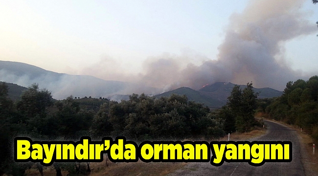 Bayındır&#039;da orman yangını