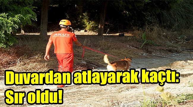 Duvardan atlayarak kaçtı: Sır oldu!