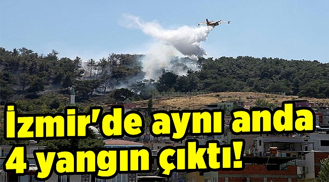 İzmir'de aynı anda 4 yangın çıktı!