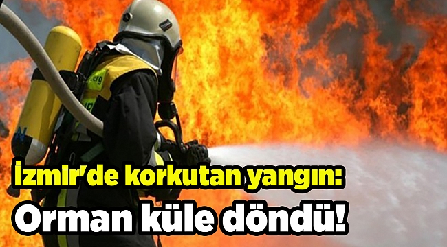 İzmir'de korkutan yangın: Orman küle döndü!