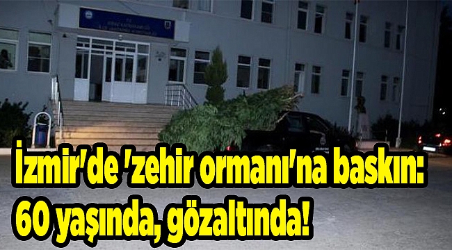 İzmir'de 'zehir ormanı'na baskın: 60 yaşında, gözaltında!