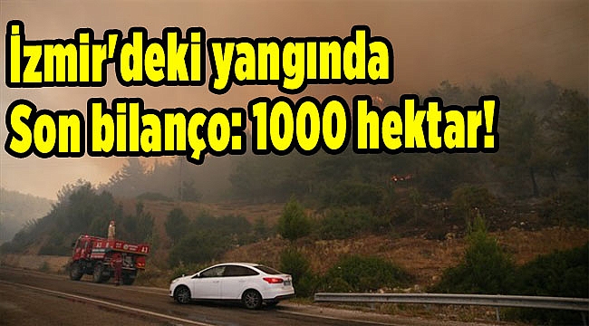 İzmir&#039;deki yangında son bilanço: 1000 hektar!