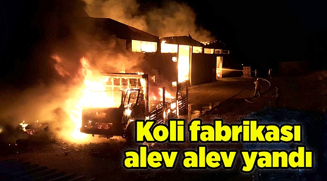 Koli fabrikası alev alev yandı