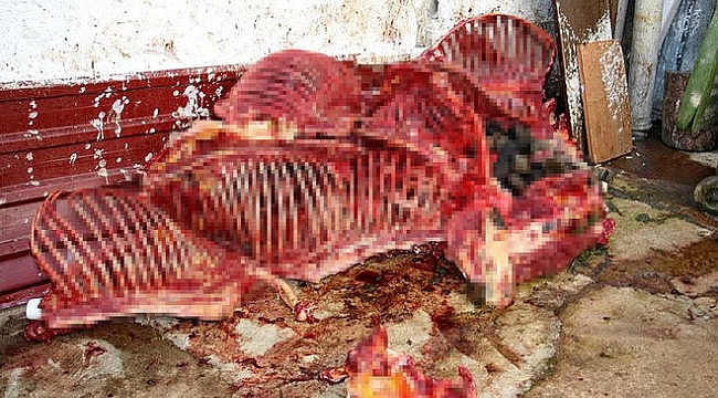 Piyasaya Sürülmeden Ele Geçirildi