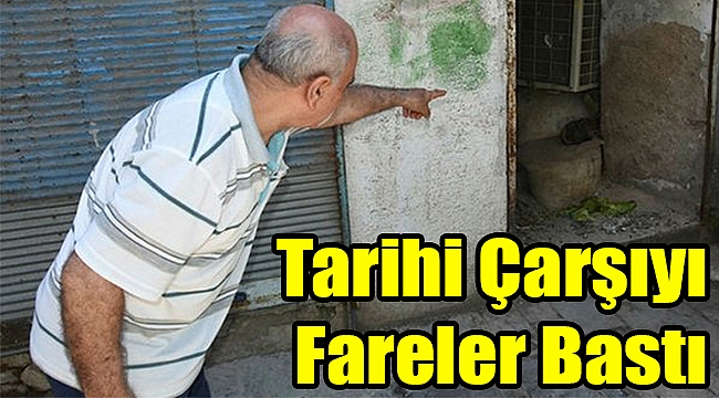 Tarihi Çarşıyı Fareler Bastı