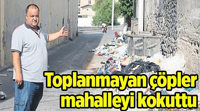 Toplanmayan çöpler mahalleyi kokuttu