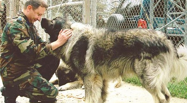 TSK'ya dönüş yolu açıldı