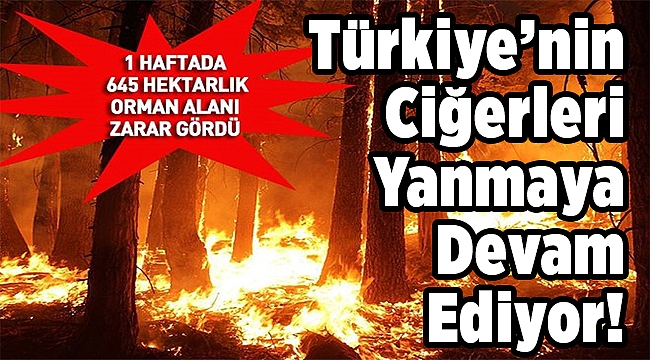 Türkiye’nin Ciğerleri Yanmaya Devam Ediyor