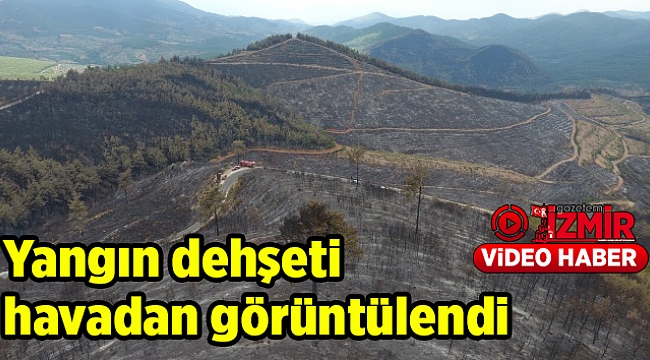 Yangın dehşeti havadan görüntülendi