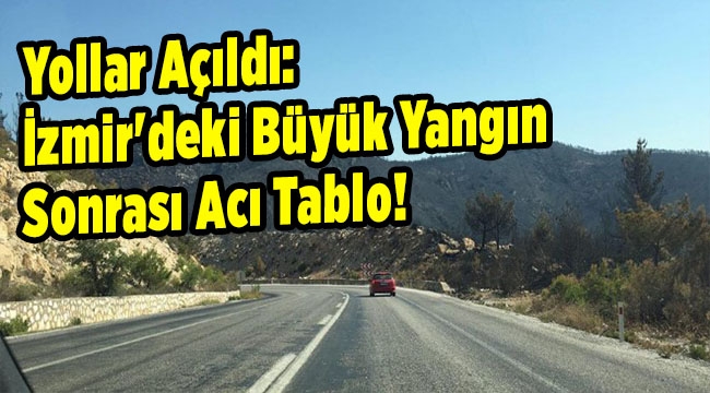 Yollar açıldı: İzmir'deki büyük yangın sonrası acı tablo!