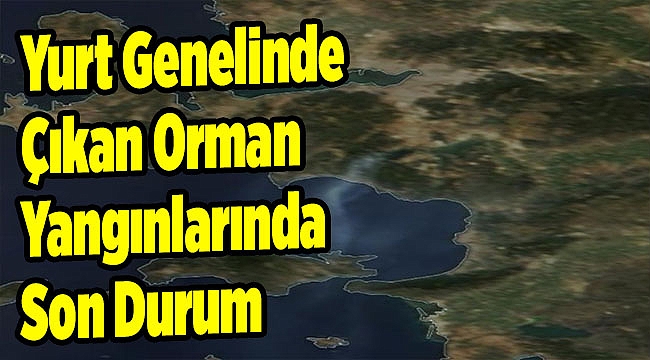 Yurt genelinde çıkan orman yangınlarında son durum