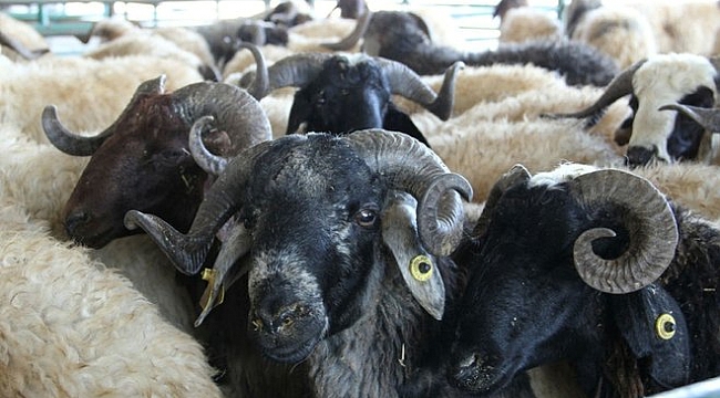 17 milyar liralık bayram ekonomisi