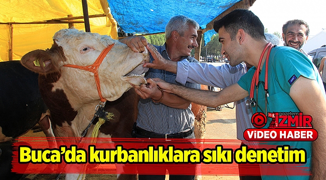 Buca&#039;da kurbanlıklara sıkı denetim