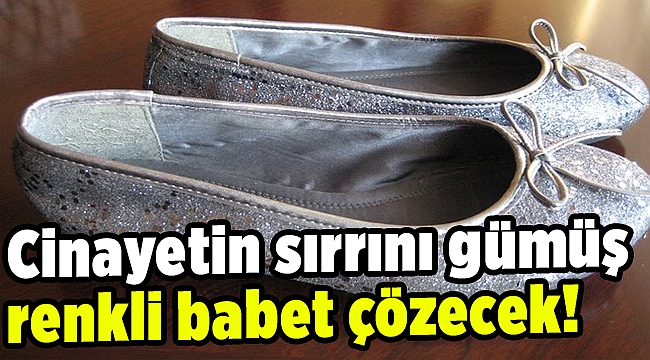 Cinayetin sırrını gümüş renkli babet çözecek