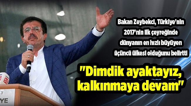 "Dimdik ayaktayız, kalkınmaya devam"