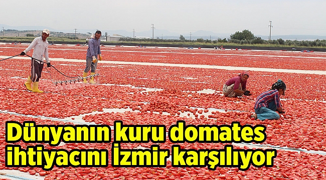 Dünyanın kuru domates ihtiyacını İzmir karşılıyor