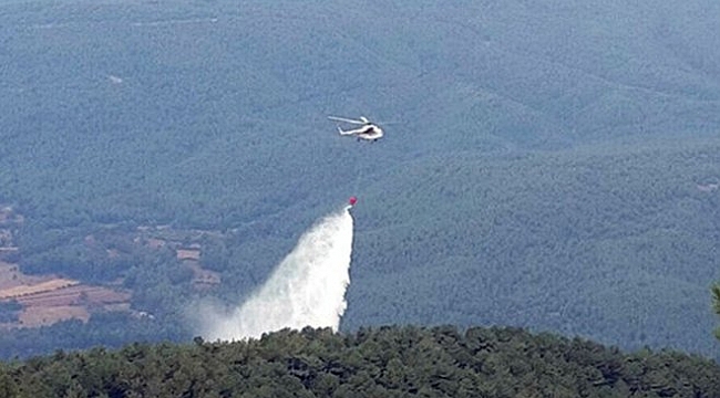 Ege'de Orman Yangınları Devam Ediyor