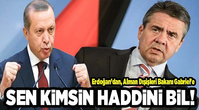 Erdoğan Alman Bakanı Seslendi: &quot;Sen Kimsin, Haddini Bil!&quot;