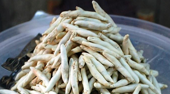 İki çeyrek altın fiyatına, bir kilo sakız