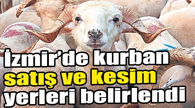 İzmir'de kurban satış ve kesim yerleri belirlendi