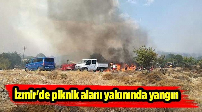 İzmir&#039;de piknik alanı yakınında yangın