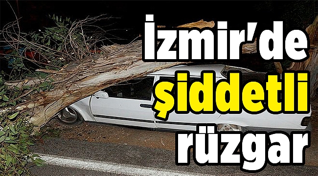 İzmir'de şiddetli rüzgar