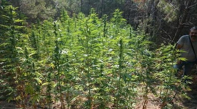 İzmir&#039;deki uyuşturucu operasyonu