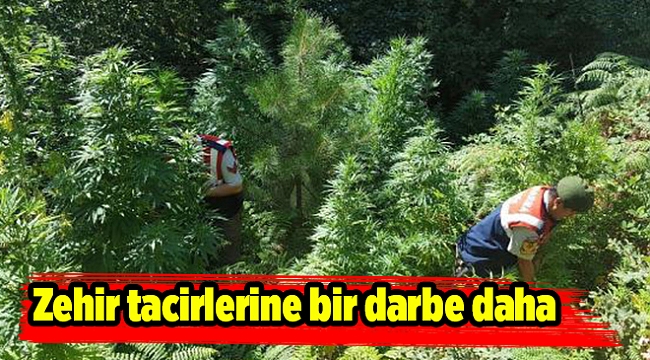 Ödemiş ve Kiraz'da uyuşturucu operasyonu