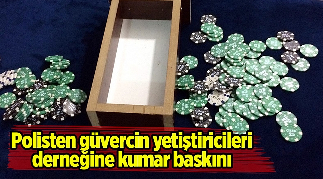 Polisten güvercin yetiştiricileri derneğine kumar baskını