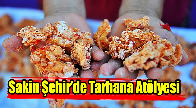 Sakin  Şehir’de  Tarhana Atölyesi