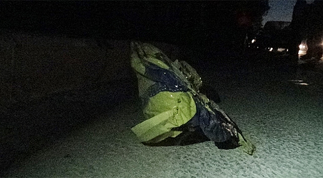 Uçan balon yüksek gerilim hattına takıldı, şehrin elektrikleri kesildi