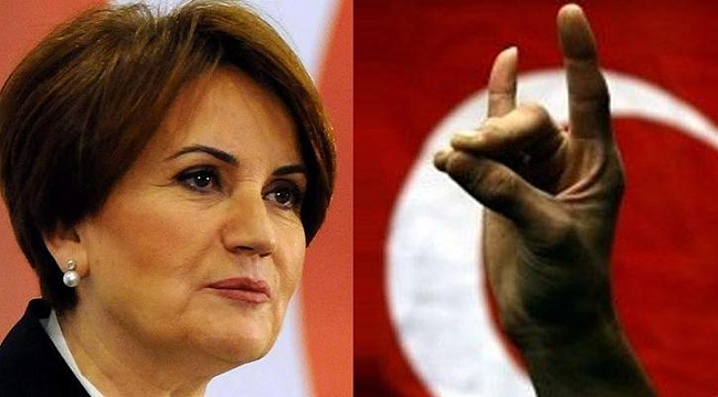 Yeni partiye bozkurt yasağı