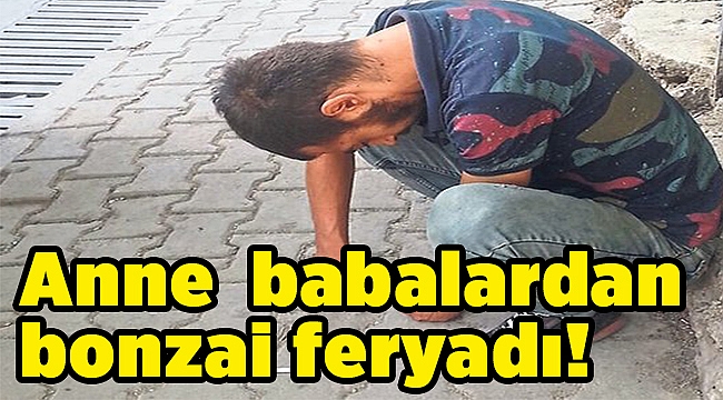 Anne babalardan bonzai feryadı